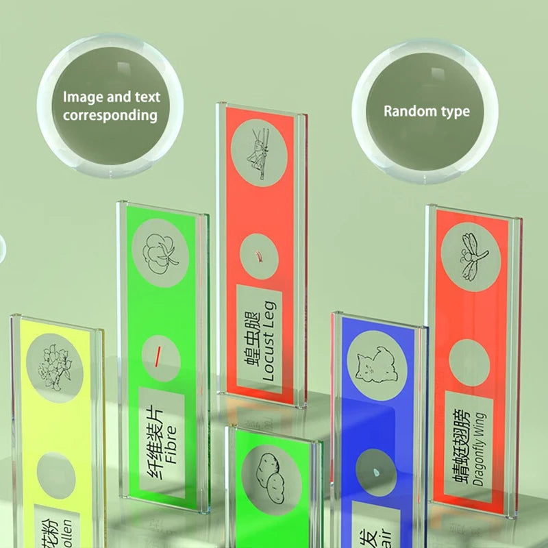 Pocket Microscope Display Montessori Handheld LED Light Biology Magnification Outdoor Students Teaching Gifts Children Stem Toys by eprolo